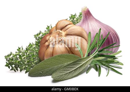 Spicchi di aglio con il timo, la salvia, il rosmarino. Provenza erbe e spezie. I tracciati di ritaglio, ombre separate, infinita profondità di campo. Foto Stock