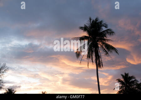 Silhouette di palme di cocco sulla colorata sun impostato Foto Stock