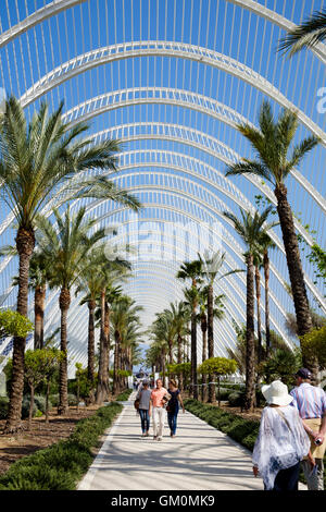 Interno del L'Umbracle presso il parco della scienza di Valencia Spagna Foto Stock