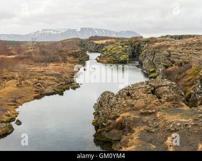 Flosagjá Canyon nel Parco Nazionale di Þingvellir Islanda, è una fessura o guasto tra il Nord America e Eurasion targa tettonica. Foto Stock