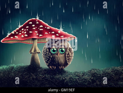 Piccolo gufo seduto sotto i funghi Foto Stock