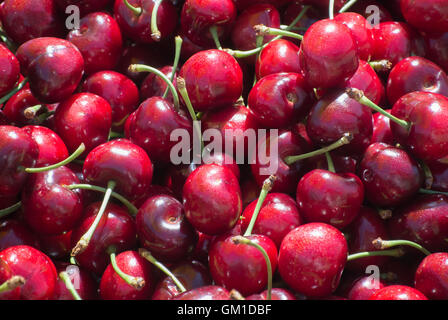 Close-Up di ciliegie Foto Stock
