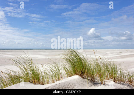 Kniepsand beach, Amrum Island, Nord Friesland, Schleswig-Holstein, Germania Foto Stock