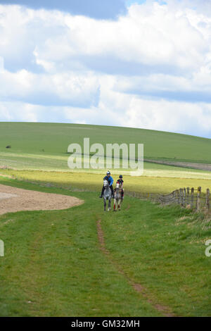 Cavalli e cavalieri al galoppo sulla South Downs in East Sussex Foto Stock