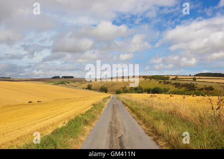 Una piccola strada di campagna attraverso il golden raccolte di campi di cereali al di sotto di un blu cielo nuvoloso in estate. Foto Stock