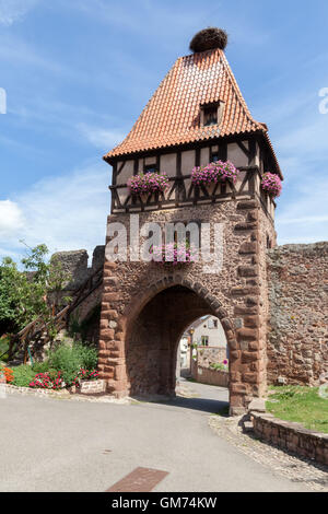 Torre dell orologio nel villaggio Alsacien Chatenois. Foto Stock