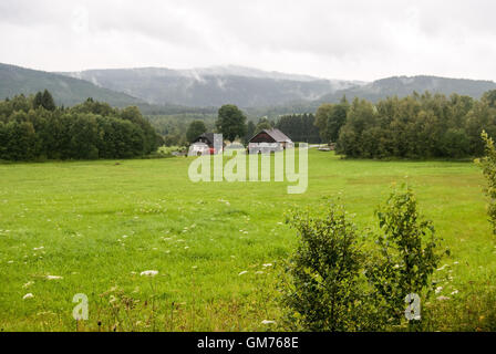 Fresh prato con alberi, case isolate e colline sullo sfondo nei pressi di Borova Lada villaggio nelle Montagne di Sumava Foto Stock