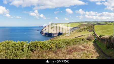 Una donna che cammina la splendida North Cornwall costiera tra Boscastle e Crackington Haven in Inghilterra. Foto Stock