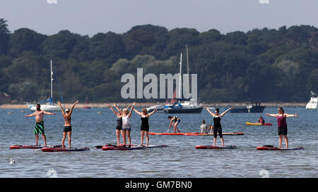 La gente a prendere parte a un esercizio di classe sul paddle boards nel porto di Poole, Dorset, come un ondata di caldo fa sì che parti del paese di sizzle. Foto Stock