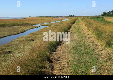 Fiume sale minerale marsh costiero alluvione banca per la difesa e il sentiero, guardando verso la strada di ciottoli, Hollesley, Suffolk, Inghilterra, Regno Unito Foto Stock