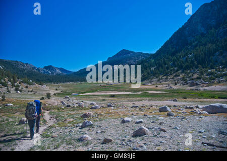 Due escursionisti in prati Kerrick su Benson ansa di Hoover & Yosemite deserto Humbolt-Toiyabe National Forest, CA Foto Stock