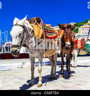 Vacanze a Hydra,vista con donkey,Grecia Foto Stock