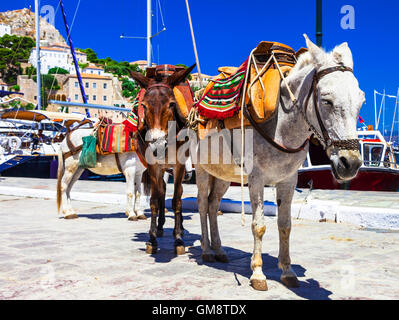 Impressionante Hydra Island,vista con case tradizionali e asini,Grecia. Foto Stock