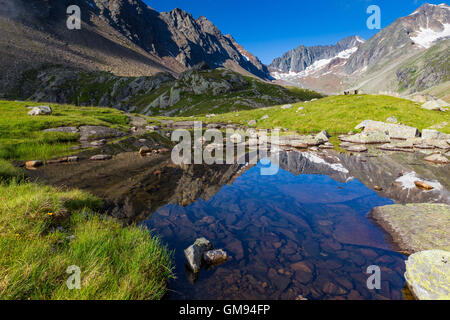 Stubaier Alpen. Stubaital. Alpi dello Stubai. Austria. Foto Stock