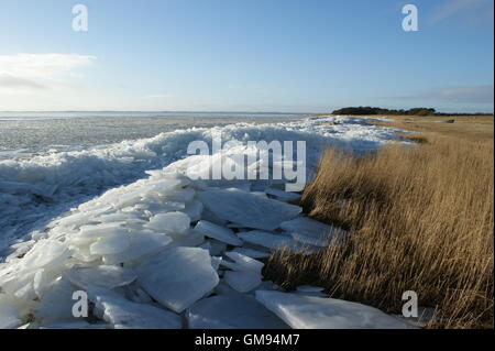 La banchisa accanto a un prato in Jutland, Danimarca. Foto Stock