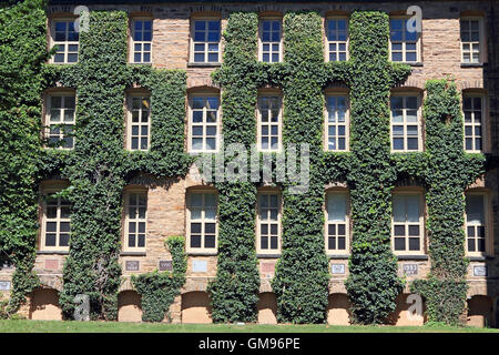 Edera pareti coperte di Nassau Hall, l'Università di Princeton, Princeton, New Jersey, STATI UNITI D'AMERICA Foto Stock