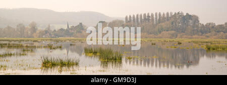 Silenziato colore/i colori in una nebbiosa mattina di primavera Foto Stock