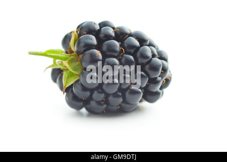 Gustosa blackberry fresco isolato su sfondo bianco. Foto Stock