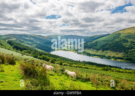 Guardando verso il basso su per la valle di Elisabetta e il serbatoio nella zona centrale di Parco Nazionale di Brecon Beacons su una soleggiata giornata estiva Foto Stock