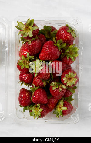 Vista aerea di fragole fresche in contenitore di plastica Foto Stock