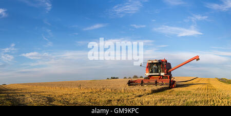Ramlose, Danimarca - 24 agosto 2016: vista panoramica di una mietitrebbia al lavoro Foto Stock