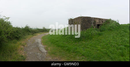 Ultimi alesatura GHQ, British bunkers a guardia della, ex GHQ Linea, sulla chioma cresciuta a sinistra, a partire da un'età bygone, di paura, Foto Stock