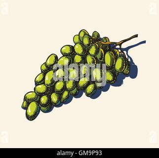 Uva Illustrazione Vettoriale