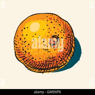 Disegnata a mano vintage illustrazione di Orange Illustrazione Vettoriale