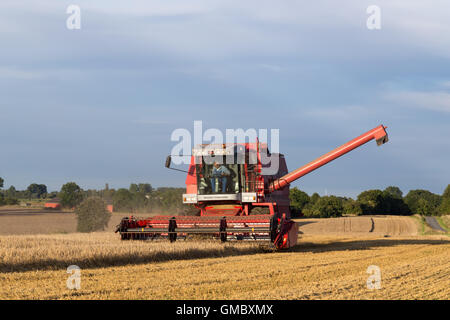 Ramlose, Danimarca - 24 agosto 2016: vista panoramica di una mietitrebbia al lavoro Foto Stock
