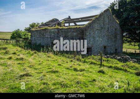 Abbandonata una vecchia fattoria nel retro del al di là di senza tetto o windows. Foto Stock