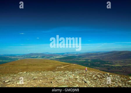 Abernethy Riserva Naturale Nazionale dal vertice di Meall un Bhuachaille, Aviemore, Cairngorm National Park, Highland Foto Stock