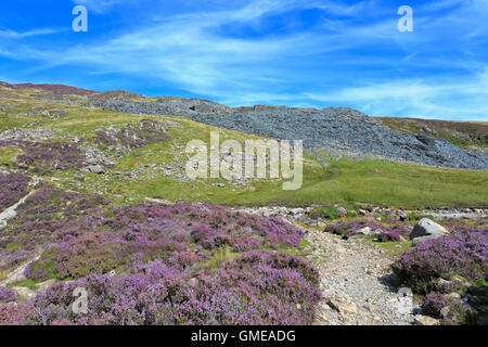 Path off Haystacks portando alla bothy a duplicazioni cava, Fleetwith Pike, Cumbria, Parco Nazionale del Distretto dei Laghi, Inghilterra, Regno Unito. Foto Stock