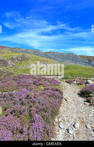 Path off Haystacks portando alla bothy a duplicazioni cava, Fleetwith Pike, Cumbria, Parco Nazionale del Distretto dei Laghi, Inghilterra, Regno Unito. Foto Stock