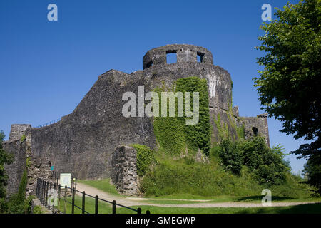 Il castello di Dinefwr dal Sud Est Foto Stock