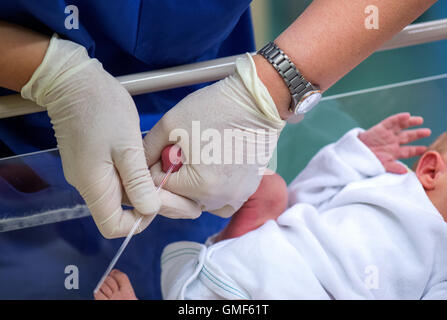 Dresden, Germania. Il 22 agosto, 2016. Un infermiere prende il sangue da un paziente neonato il tallone per una mukoviszidose screening in un reparto di ospedale universitario Carl Gustav Carus a Dresda (Germania), 22 agosto 2016. I neonati sono testati per le funzioni ereditate con questi campionamenti di sangue. Foto: Arno Burgi/dpa/Alamy Live News Foto Stock