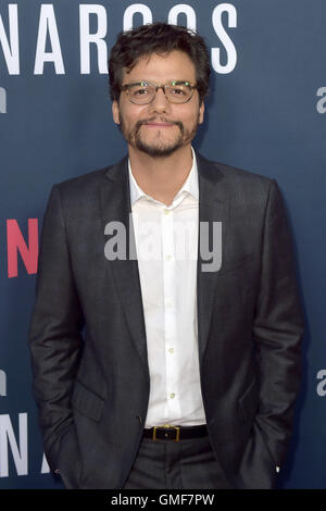 Hollywood, California. 24 Ago, 2016. Wagner Moura assiste la premiere di Netflix 'Narcos' stagione 2 a ArcLight cinema il 24 agosto 2016 a Hollywood, in California. | Verwendung weltweit © dpa/Alamy Live News Foto Stock