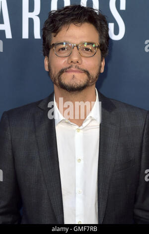 Hollywood, California. 24 Ago, 2016. Wagner Moura assiste la premiere di Netflix 'Narcos' stagione 2 a ArcLight cinema il 24 agosto 2016 a Hollywood, in California. | Verwendung weltweit © dpa/Alamy Live News Foto Stock