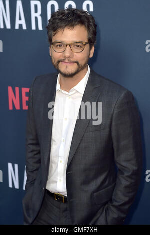 Hollywood, California. 24 Ago, 2016. Wagner Moura assiste la premiere di Netflix 'Narcos' stagione 2 a ArcLight cinema il 24 agosto 2016 a Hollywood, in California. | Verwendung weltweit © dpa/Alamy Live News Foto Stock