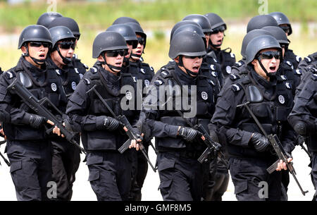 Shanghai, Cina. 26 Ago, 2016. SWAT ai membri del team di prendere parte ad un anti-trapano il terrore a Shanghai in Cina orientale, Agosto 26, 2016. Credit: ventola Jun/Xinhua/Alamy Live News Foto Stock