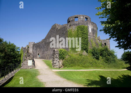 Dinefwr castello con la sua coperta di edera parete Foto Stock