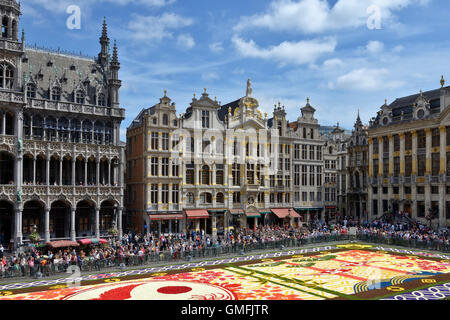 Persone ammirano tappeto di fiori sulla Grand Place di Bruxelles in Belgio il Sabato, 13 agosto 2016. Questa volta il tema giapponese era c Foto Stock