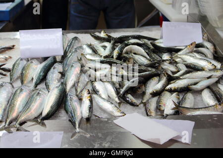 Mercato del pesce in una Europa meridionale città Foto Stock