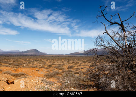 Terra asciutta - Paesaggio Graaff-Reinet Foto Stock