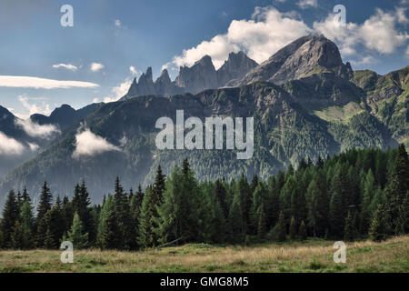 Le Dolomiti, Trentino, Italia settentrionale. La cima della Venegiota, Mt Mulaz e le Pale di San Martino in estate Foto Stock