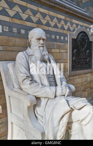 Charles Darwin statua, Museo di Storia Naturale Foto Stock