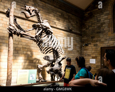 I turisti guardano il fossile di un gigantesco terreno bradipo - Megatherium, presso il Museo di Storia Naturale di Londra Foto Stock