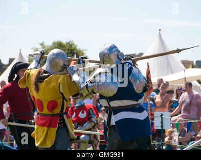 Tudor cavalieri in combattimento utilizzando polearms e usura cablaggio completo Foto Stock