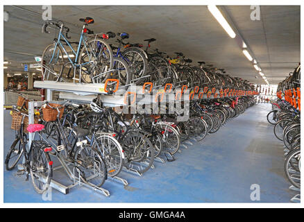 Rack di ciclo all'interno di un nuovo multi-storey bike park a Cambridge nel Regno Unito. Confina con l'Ibis Hotel accanto a Cambridge rail station Foto Stock