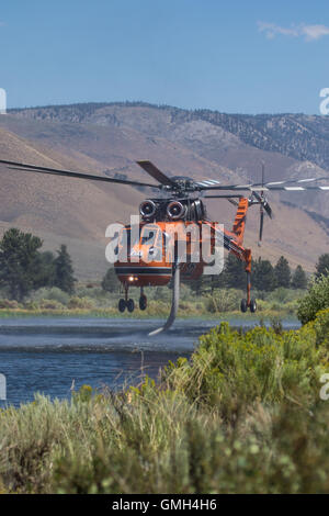 L'elicottero da combattimento Erickson Helitanker utilizza il suo snorkeling per riempire il serbatoio d'acqua mentre combatte il fuoco selvatico Clark, California, USA Foto Stock