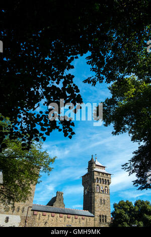 Il Castello di Cardiff di clock tower numero 3617 Foto Stock